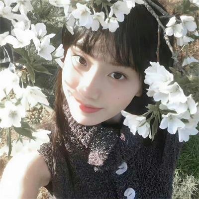 凡妮莎海辛第五季